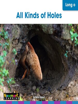 cover image of All Kinds of Holes